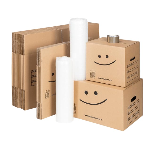 Kit de carton